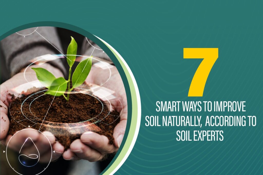 7 Smart Way to Improve Soil Naturally, According to Soil Experts 