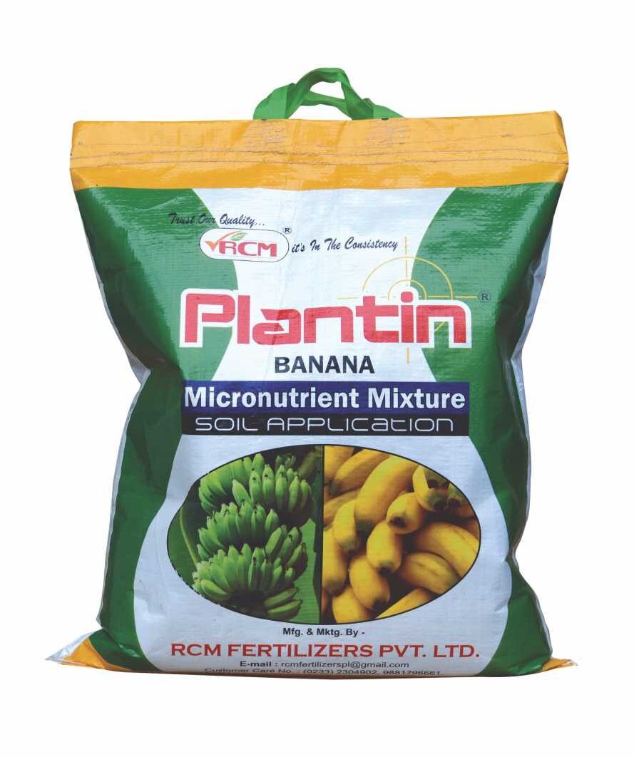 plantin-banana-grade-no-1