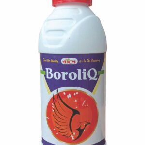 BoroliQ