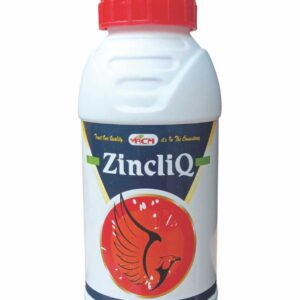 ZincliQ