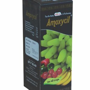 Amoxycil